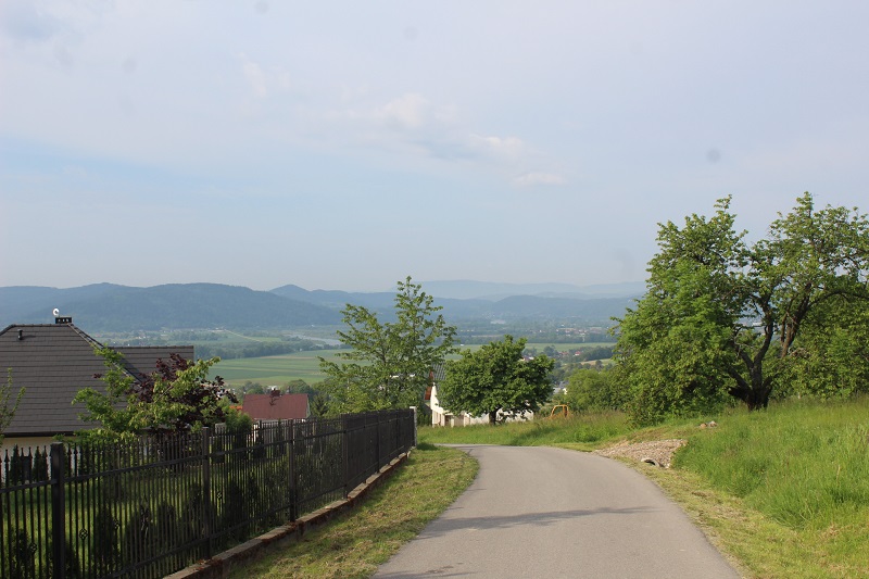 faliszewwice1