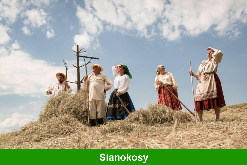 Sianokosy