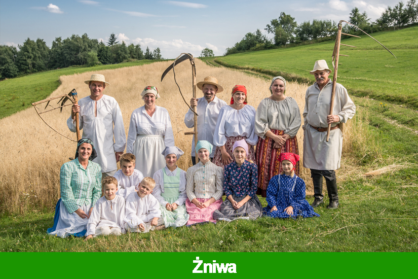 Żniwa