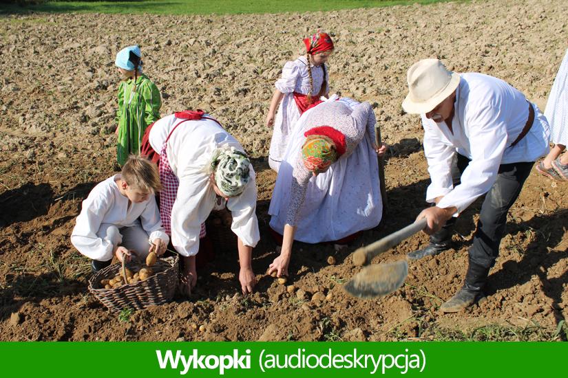 Wykopki